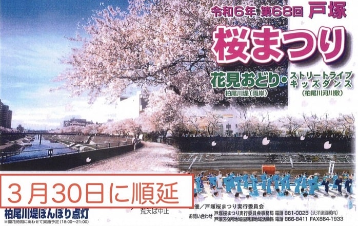 戸塚桜まつり2024