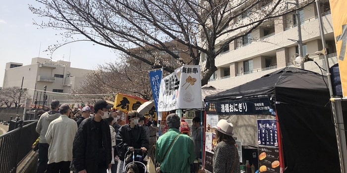 戸塚桜まつり混雑状況.